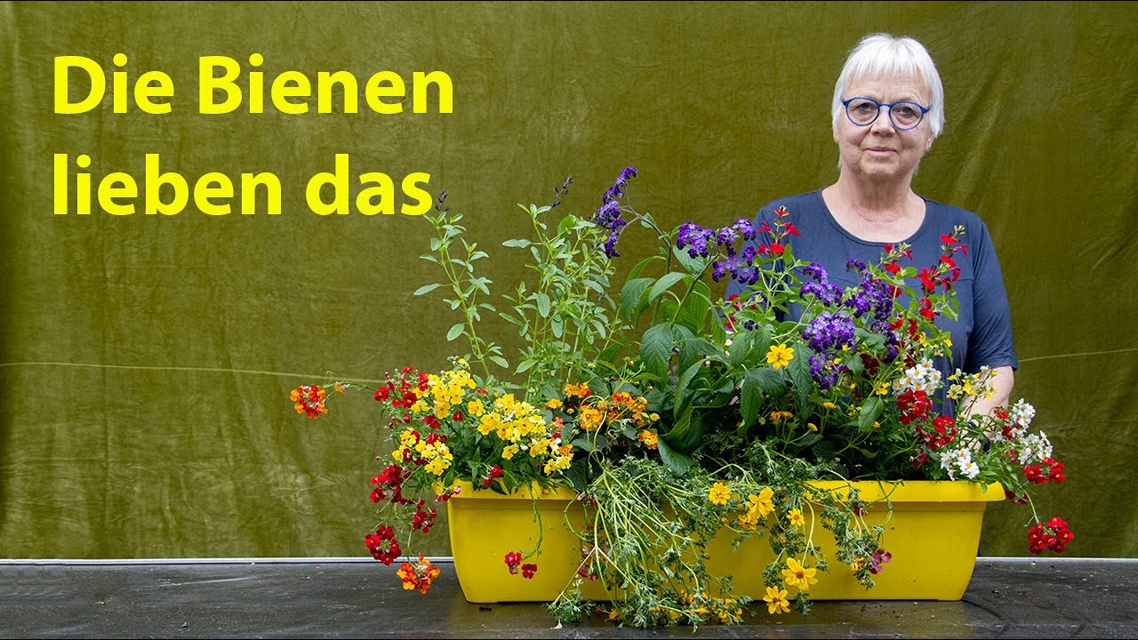 Bienenfreundlichen Balkonkasten selber bepflanzen - ein buntes Blütenmeer für den ganzen Sommer