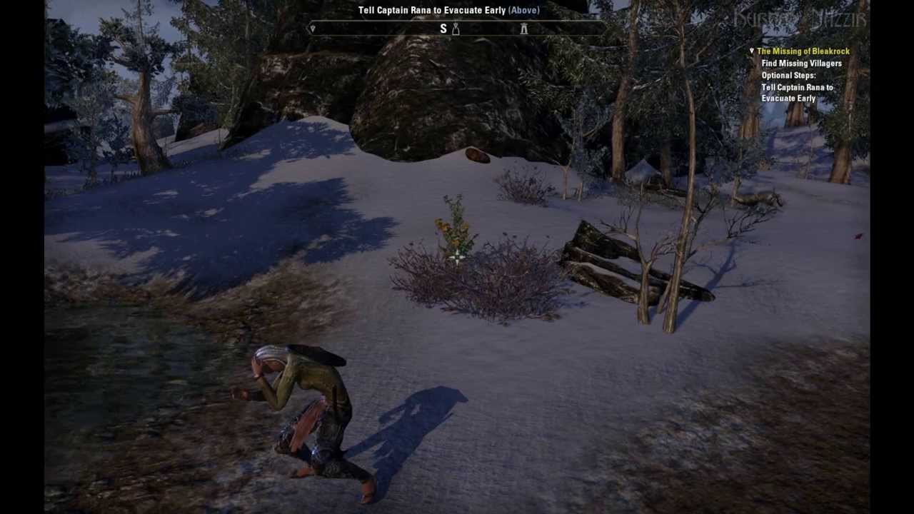 The Elder Scrolls Online Beta (PC) - Emotes /Cower through /Followme