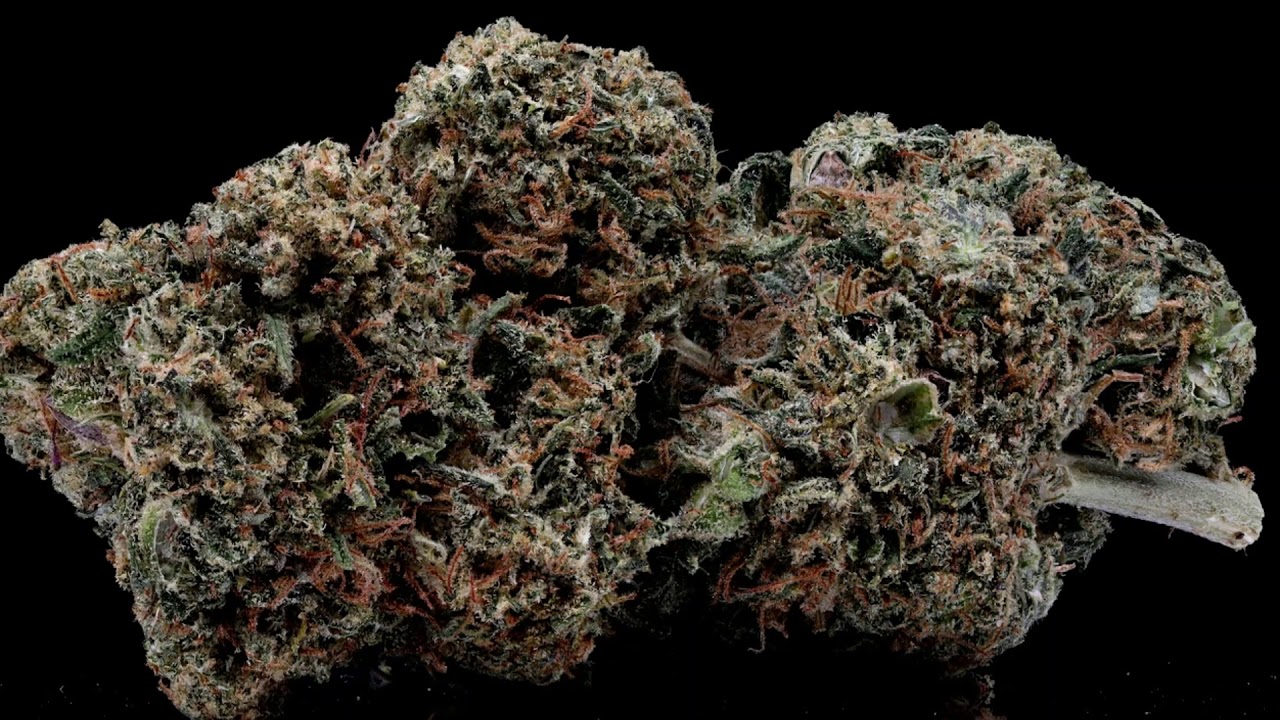 BEALEAFER - ORANGE CHEM - USA OUTDOOR GROWN CBD FLOWER (COLLAB WITH CBD Flowers UK)