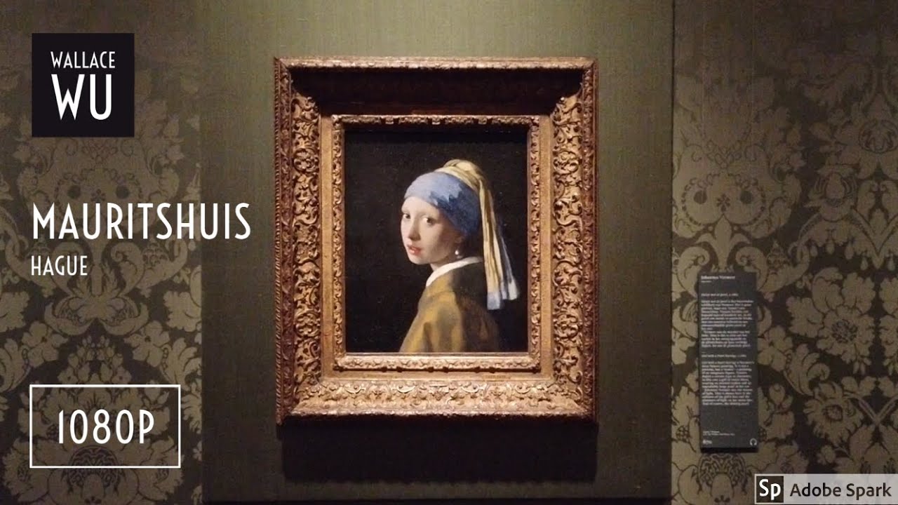 [1080P] Walking in Mauritshuis Museum the Hague - 海牙莫瑞泰斯皇家美術館