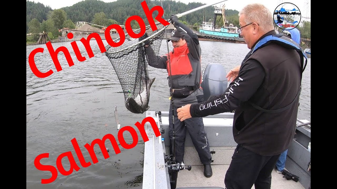 Awesome Spring Chinook Salmon Fishing.  Two fish in the box.