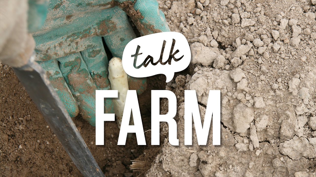 FarmTalk N&deg;10 Erntehelfer ganze Folge
