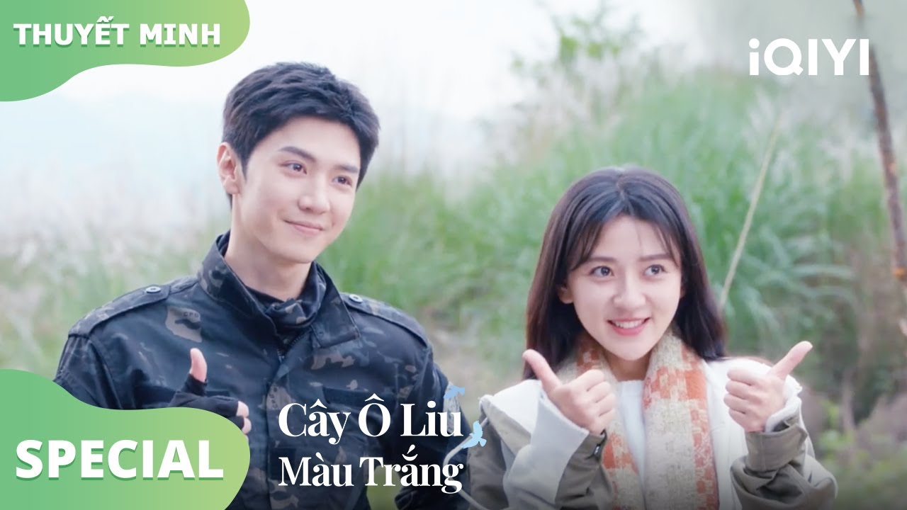 Benjamin nói xem Lý Toản như người nhà  | Cây Ô Liu Màu Trắng34-36 | iQIYI Vietnam