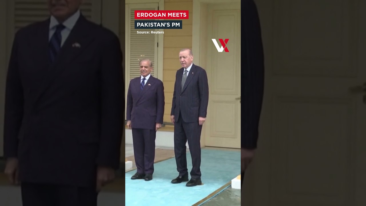 Erdogan Hosts Pakistan's Sharif in Istanbul for High-Level Bilateral Talks | VERTEX