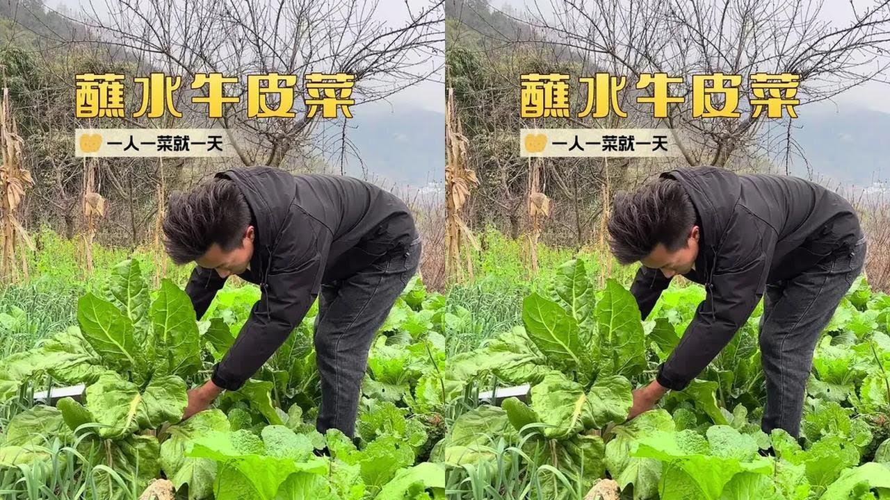 最近sha猪饭吃太多了，今天弄点刮油的来吃😂