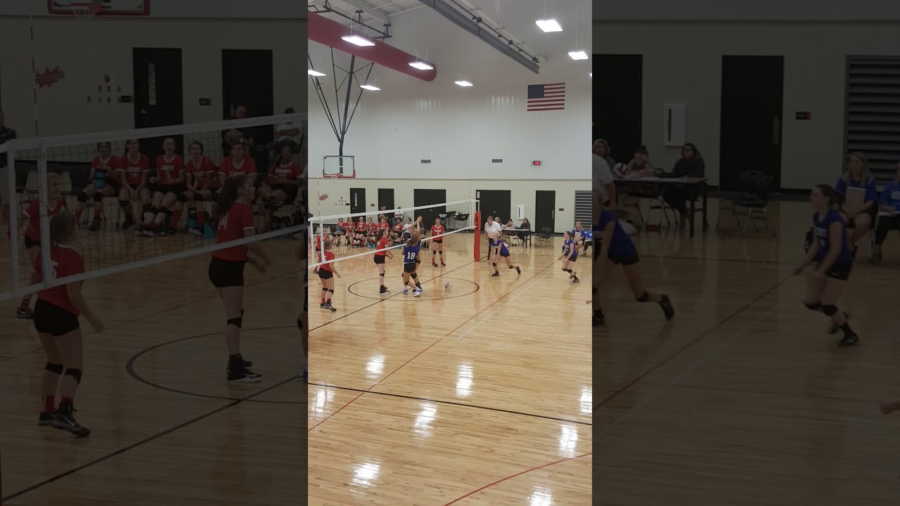 play at the net