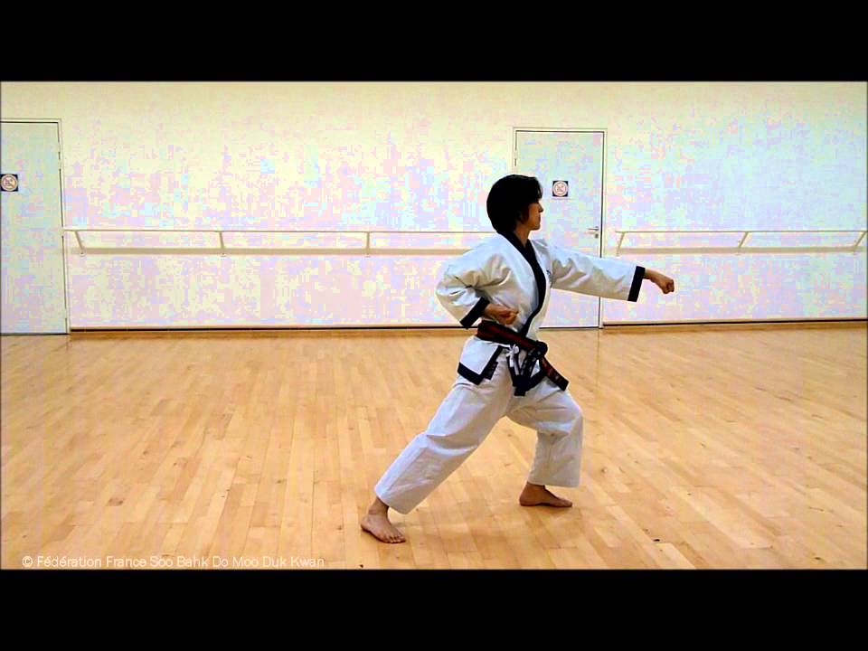 Pyung Ahn Cho Dan hyung