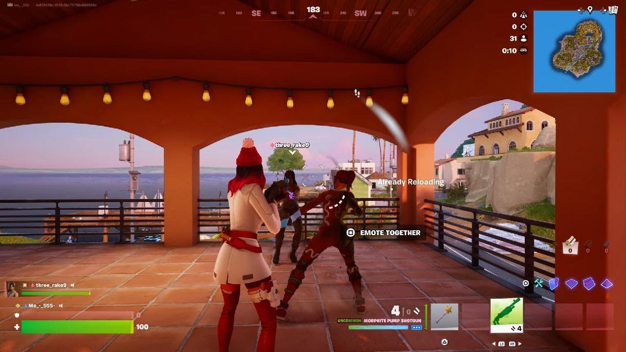 Fortnite_20260109064843