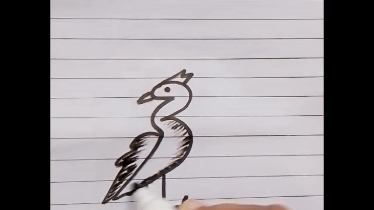 Draw a swan