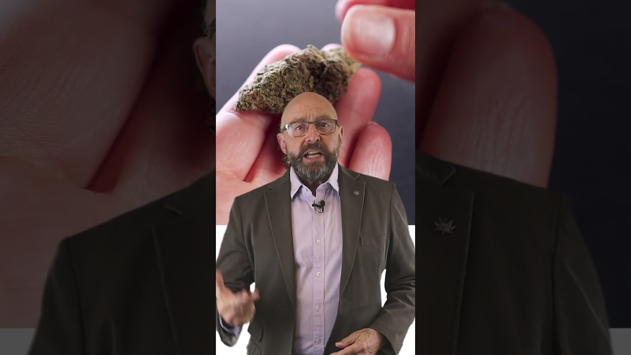 THC Limits
