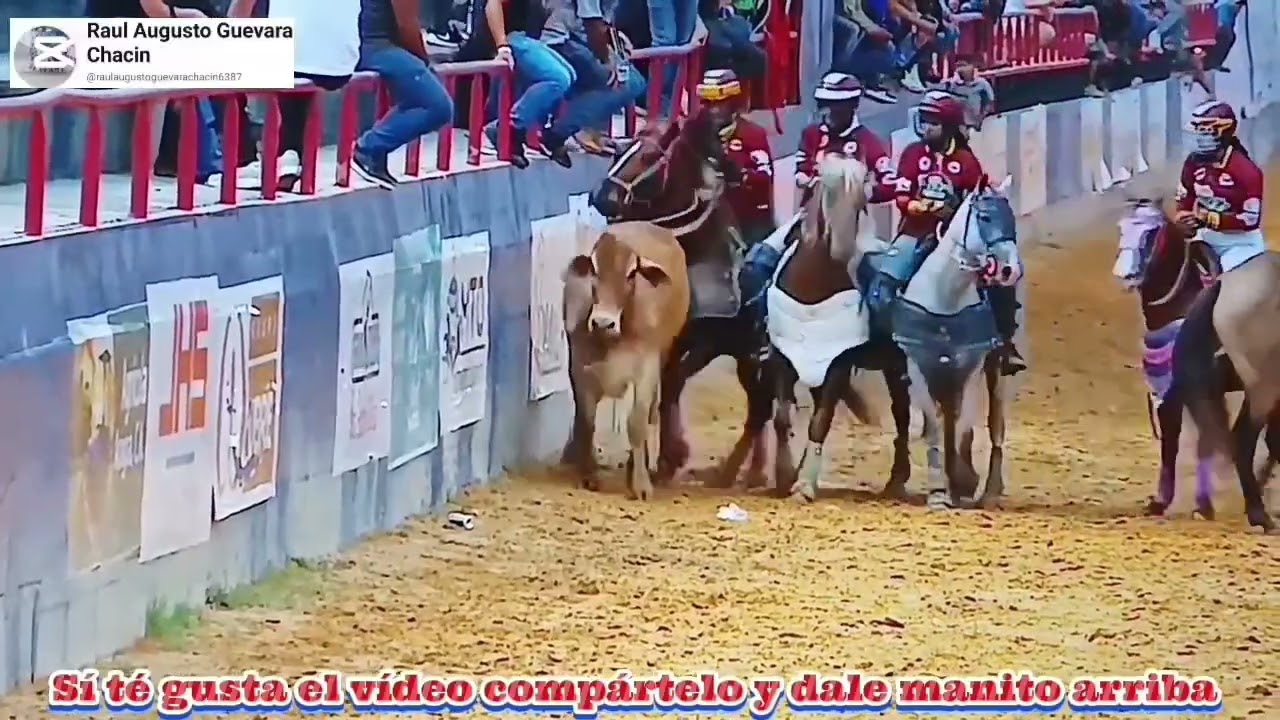 Femenino I los turnos de la campeona En su 1er día 
