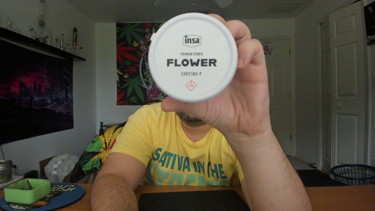 How is Insa Flower?!?!? 