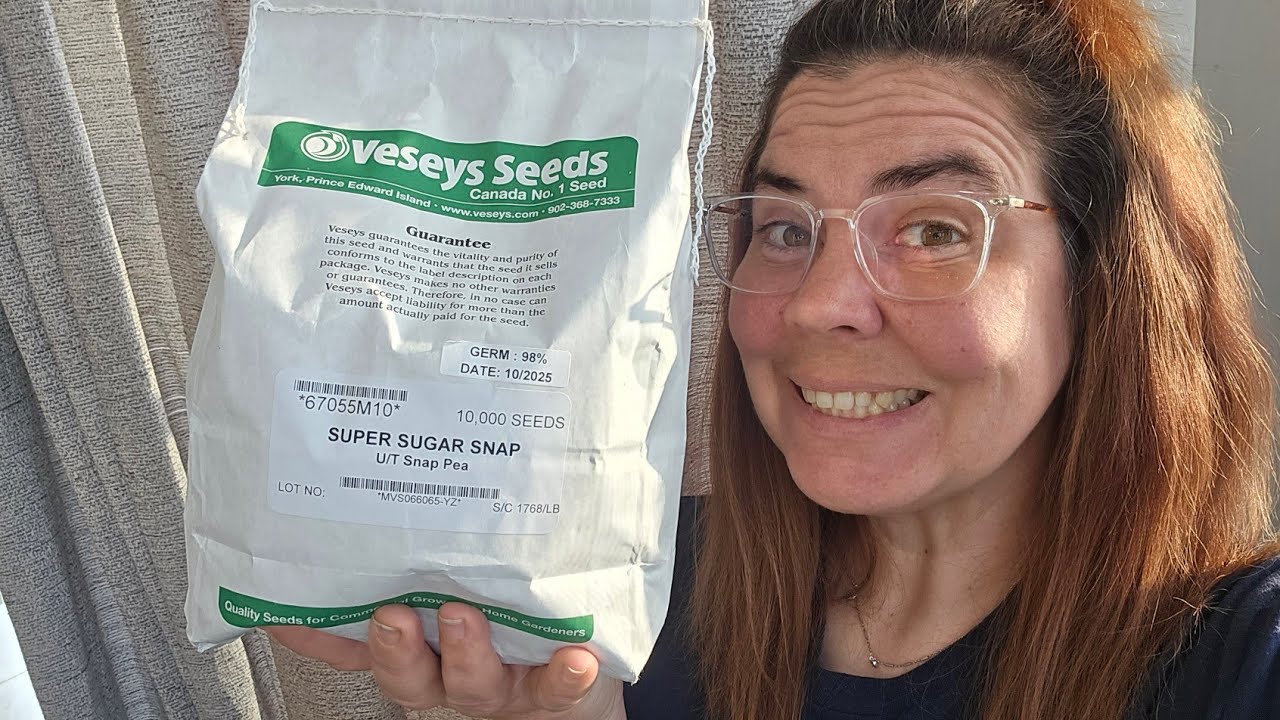 Jai reçu ma commande de @veseysseeds