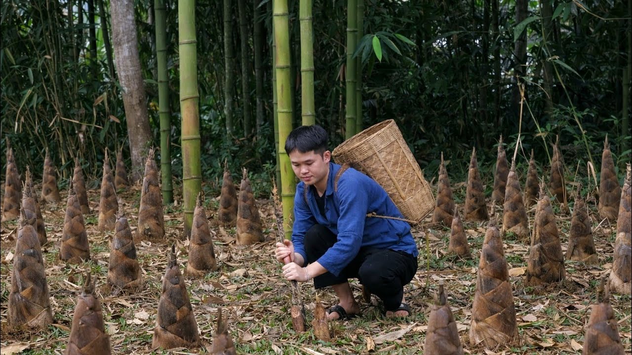 Linh now has everything he needs, but why does he still feel lonely?