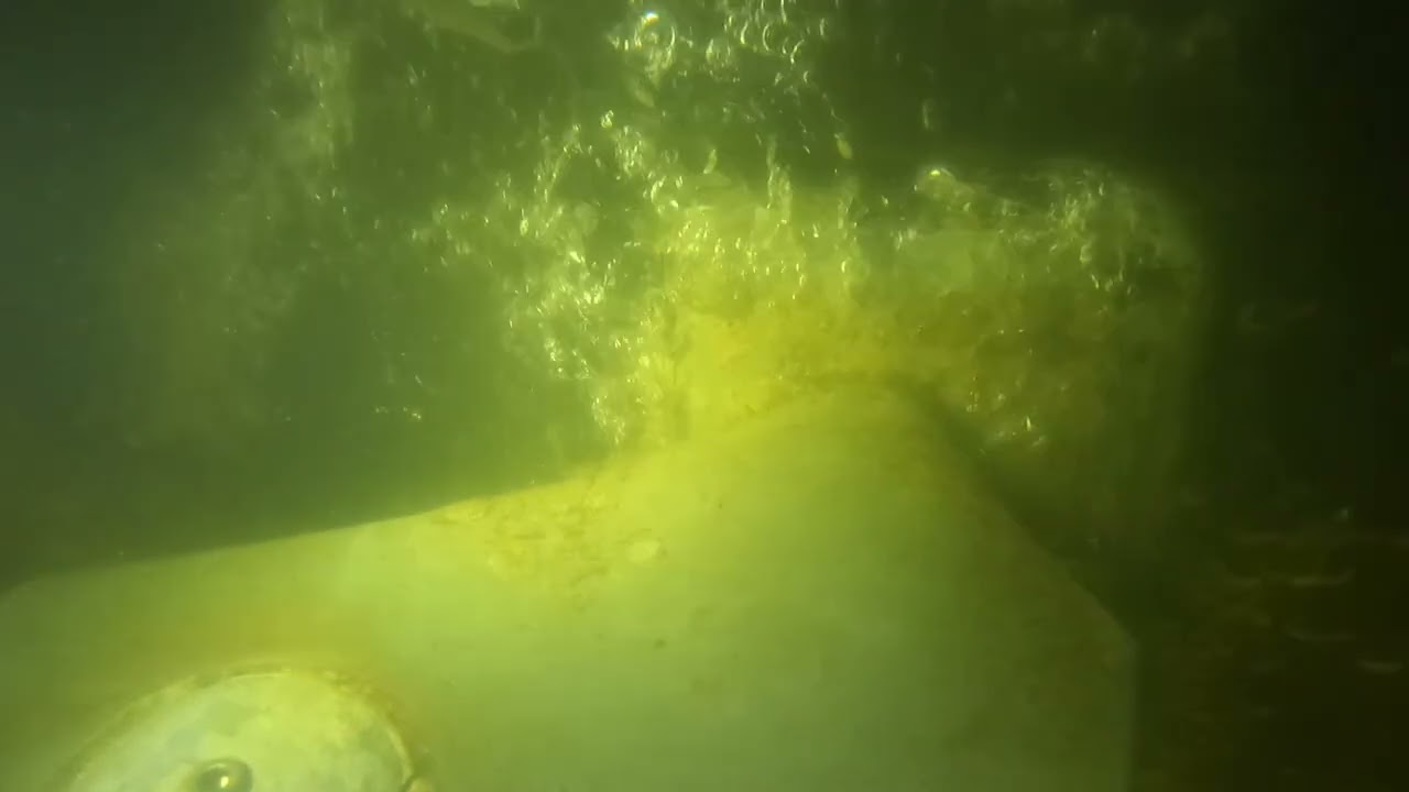 Seas the Day