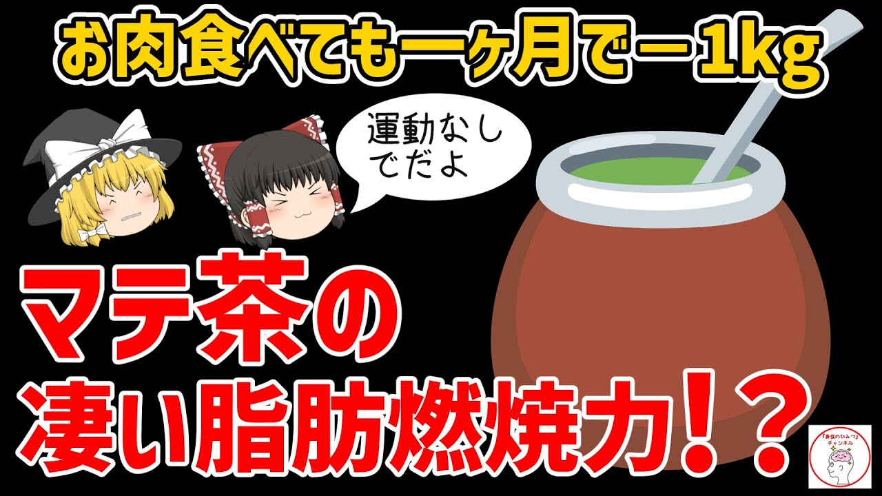 お肉好きでも健康的にダイエット！マテ茶のやせ効果がとんでもなかった【ゆっくり解説】