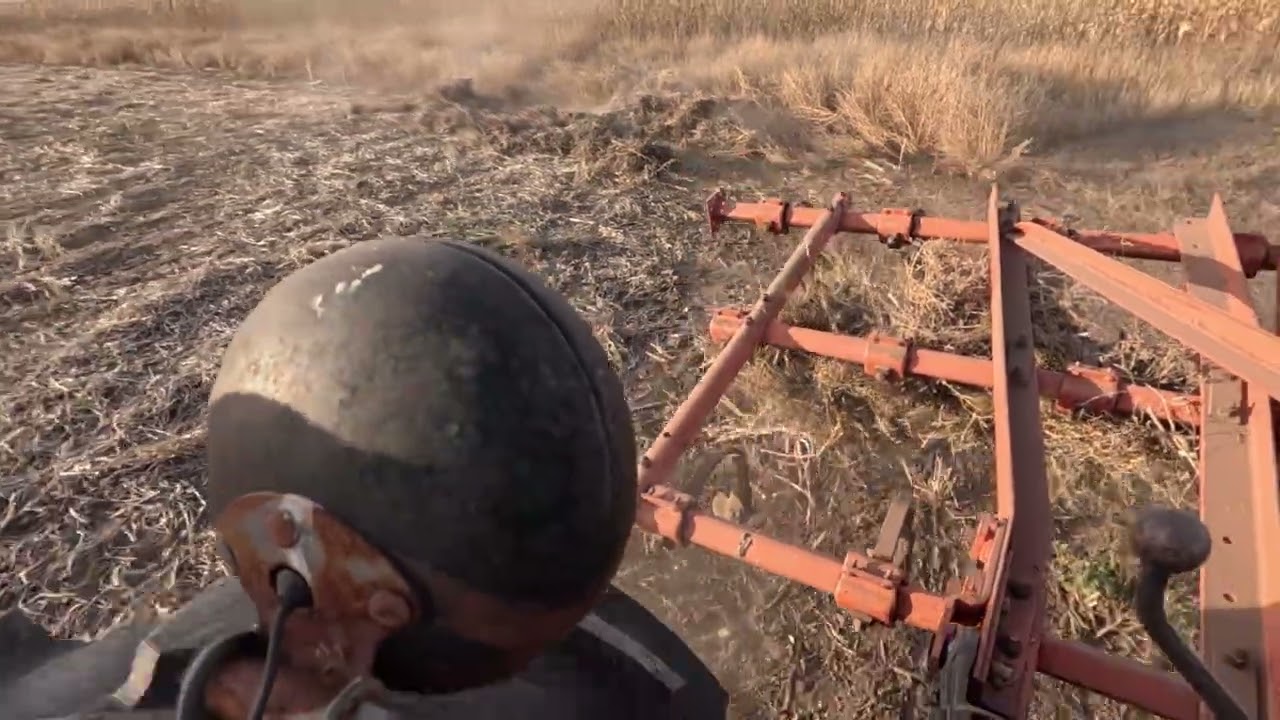 Полевой культиватор Allis Chalmers и модель 6080 в полевых условиях