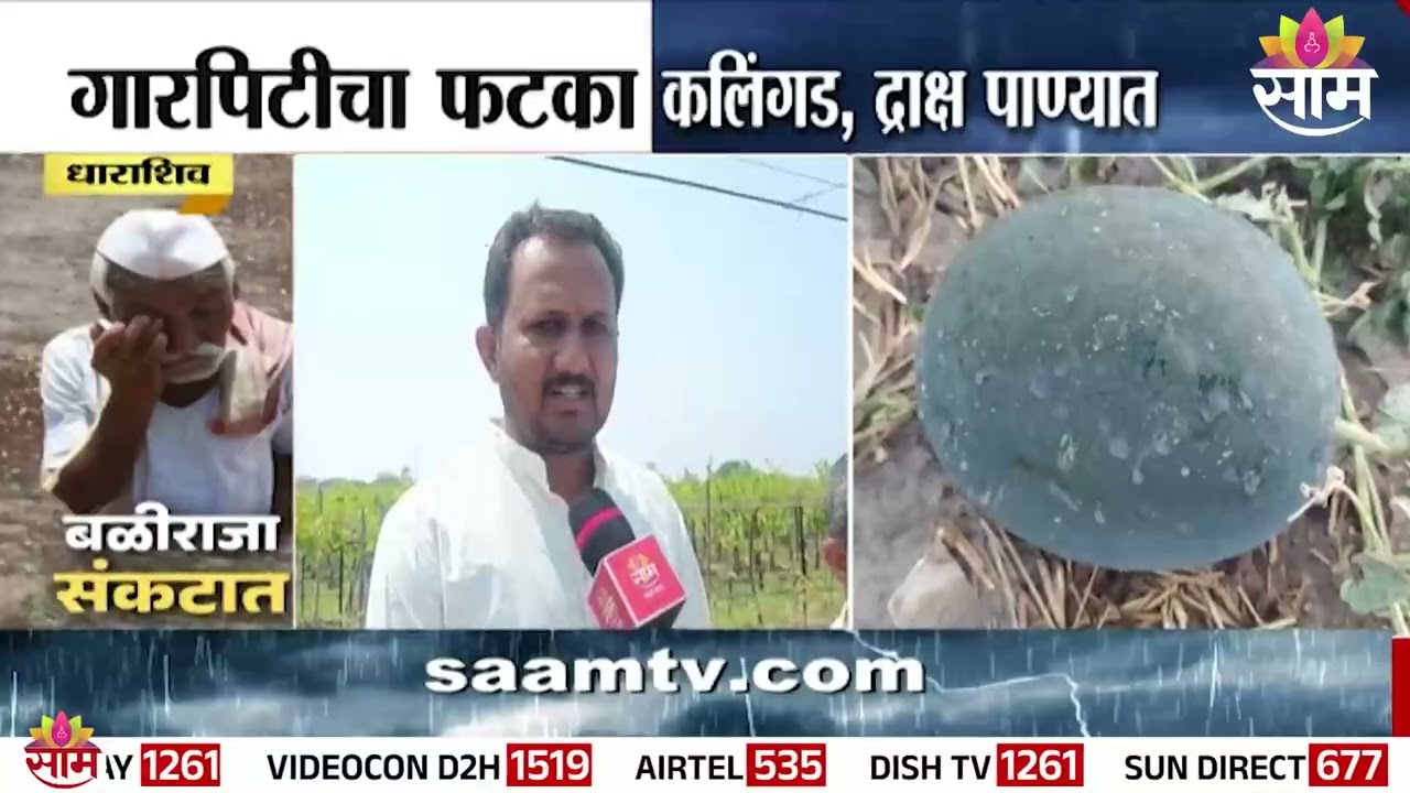 कलिंगड, द्राक्ष पाण्यात, धाराशिवमध्ये गारपीटमुळे मोठं नुकसान | Dharashiv News