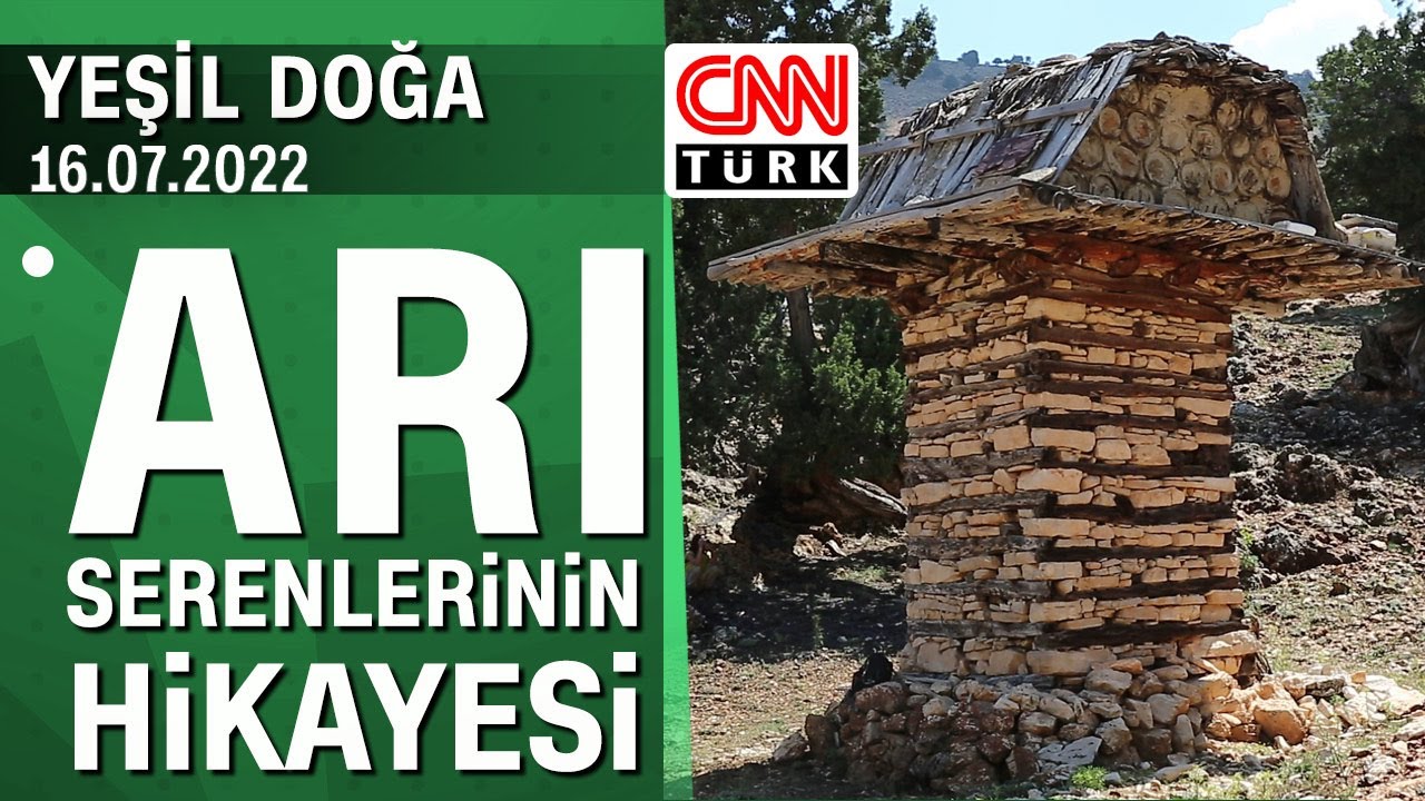 Antalya Elmalı'daki arı serenlerinin hikayesi - Yeşil Doğa 16.07.202 Cumartesi