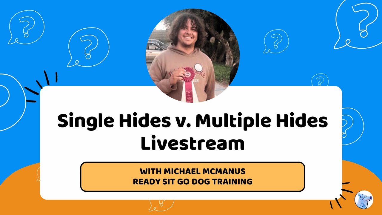 Single Hides v. Multi-Hides Livestream