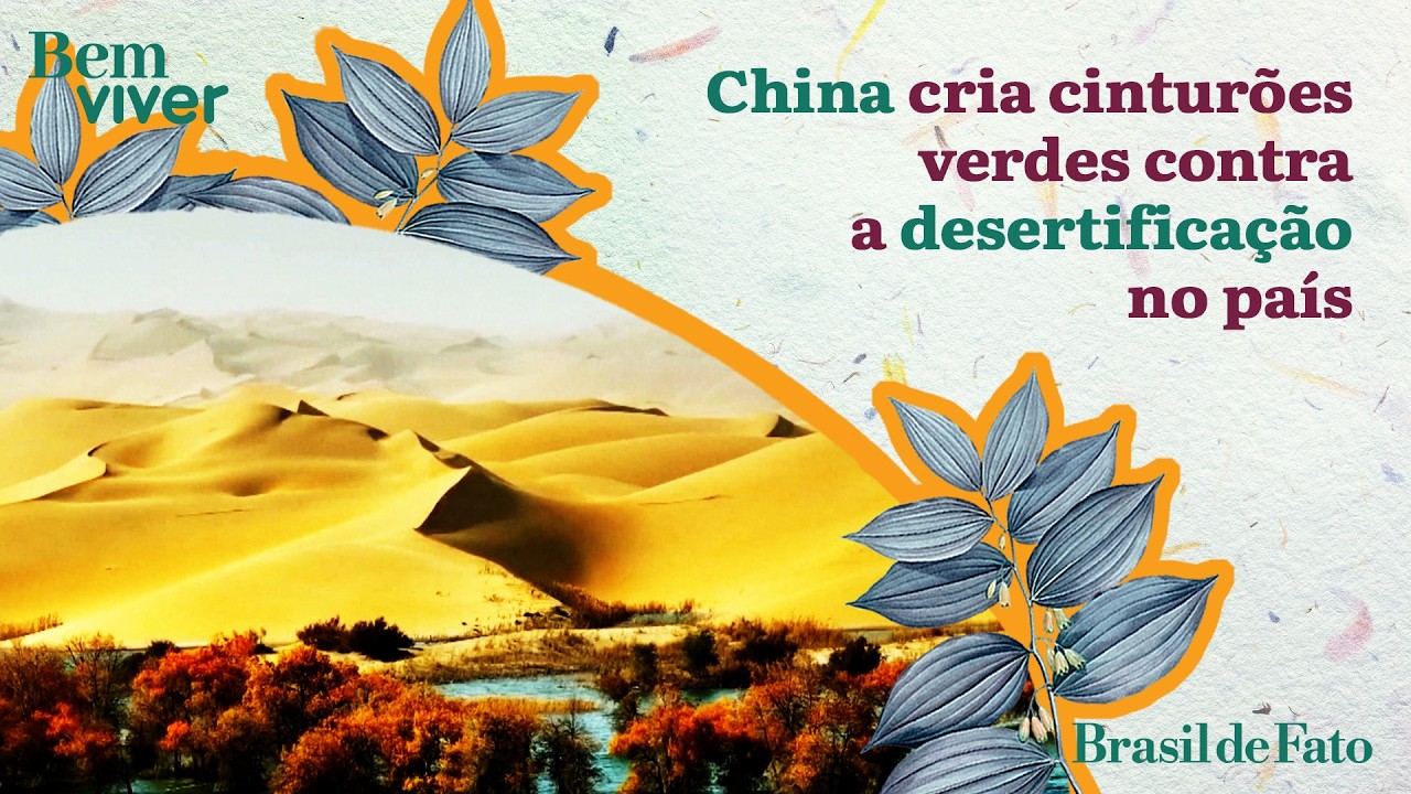 Bem Viver: China cria cinturões verdes contra a desertificação no país