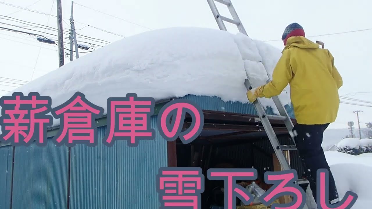 薪小屋の雪下ろし　　removing snow