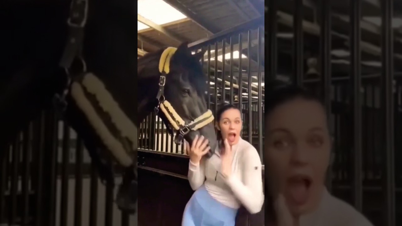 😂 naughty animals video|| #funny #funnyanimalvideos #funnymoments #viral