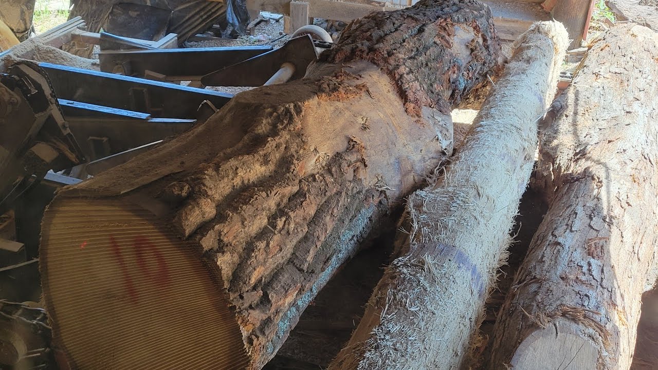 Milling a somewhat nasty chestnut oak log #43