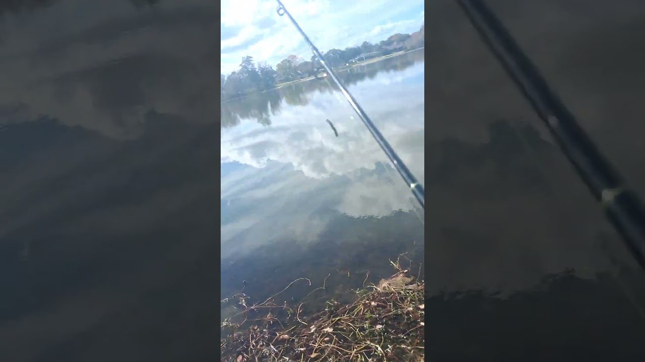 Fishing and commentary with 1 song