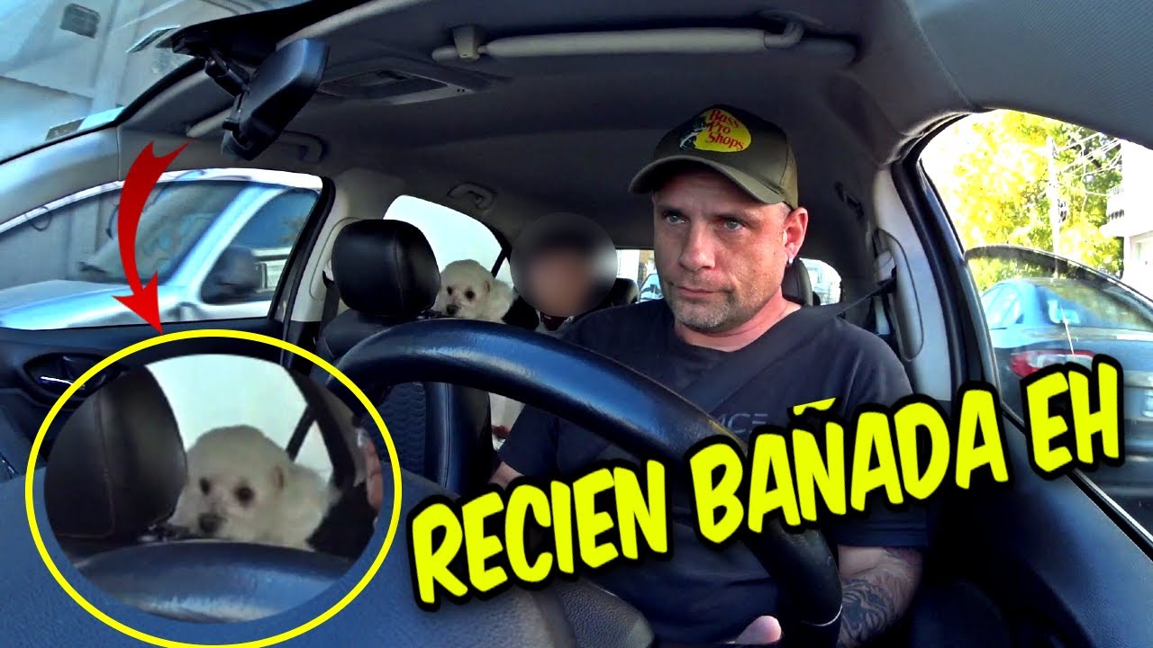 ODIO ESTOS PASAJEROS / BONO DEL FINDE...UBER