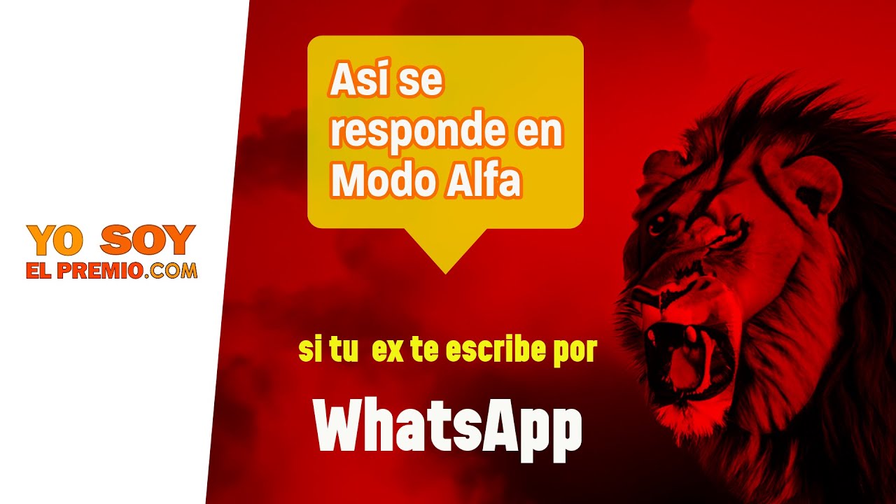 Así se responde en Modo Alfa | Como Recuperar a tu Ex