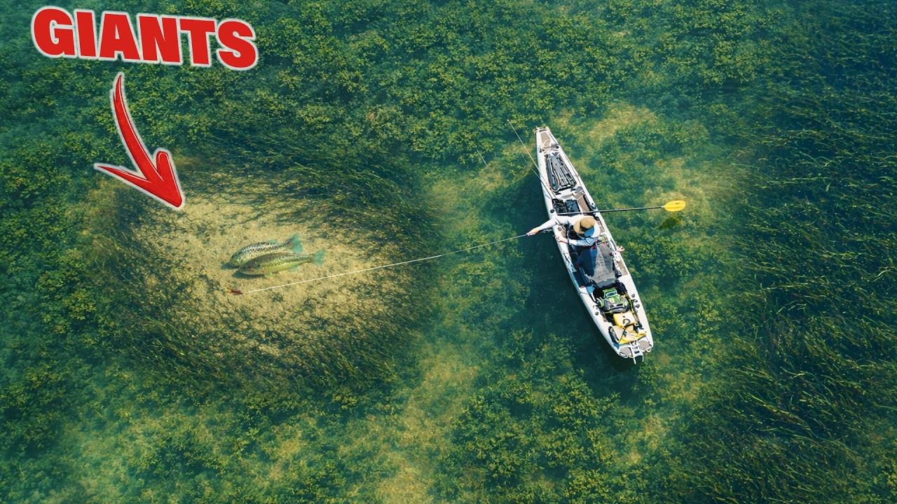Can I Break A Fishing World Record In 24 Hours?