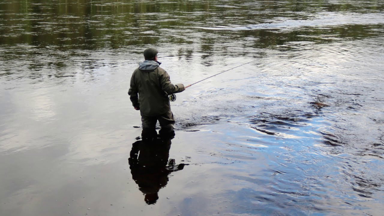 Salmon Flyfishing at the river Tornion-Muonionjoki