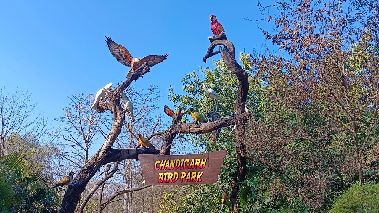 #Chandigarh# bird Park very# beautiful ❤️