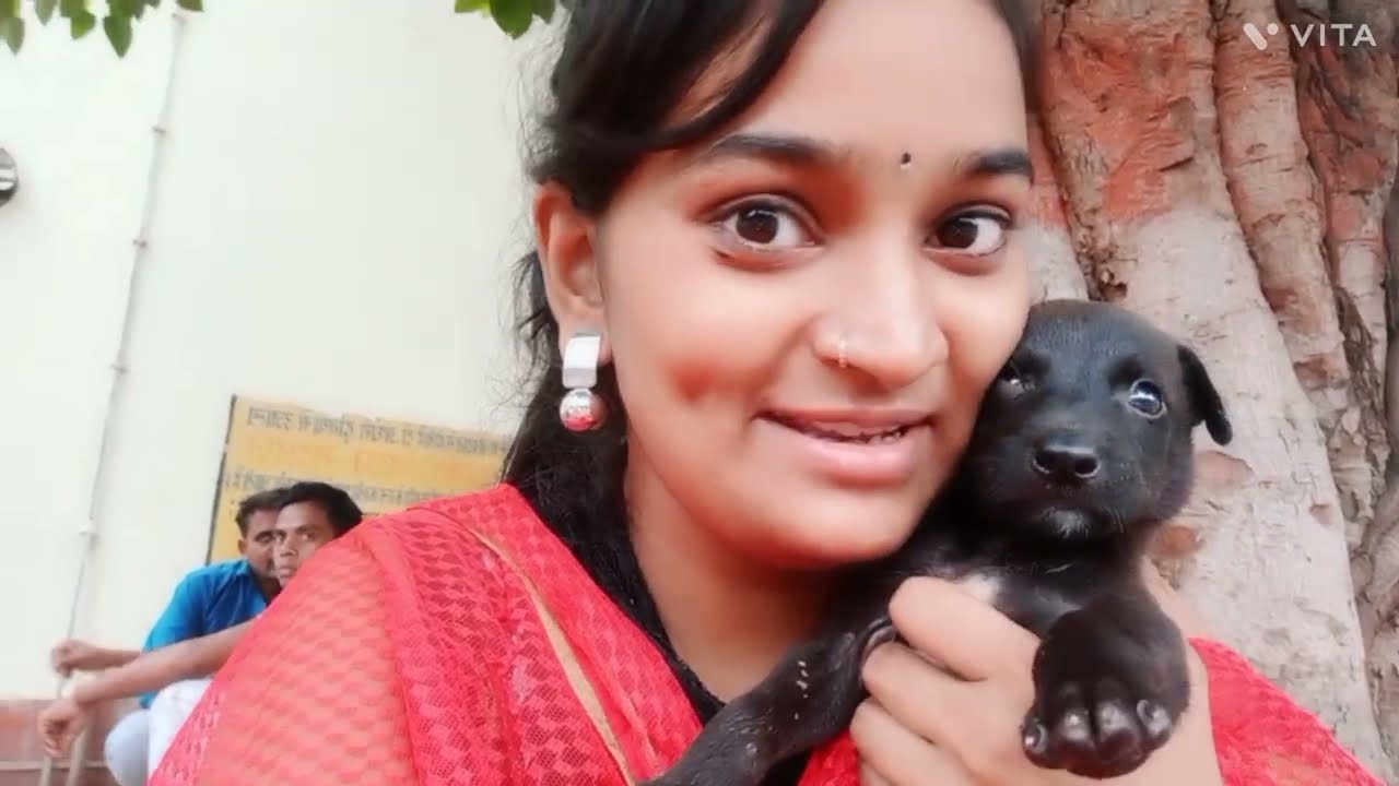 Aaj Pappi🐶🐕🐕 Apne Maa Se Dur Ho Gaya tha per Ham Logon Ne dhundh kar uski Maa🤗🤗 Se Mila Diya viog