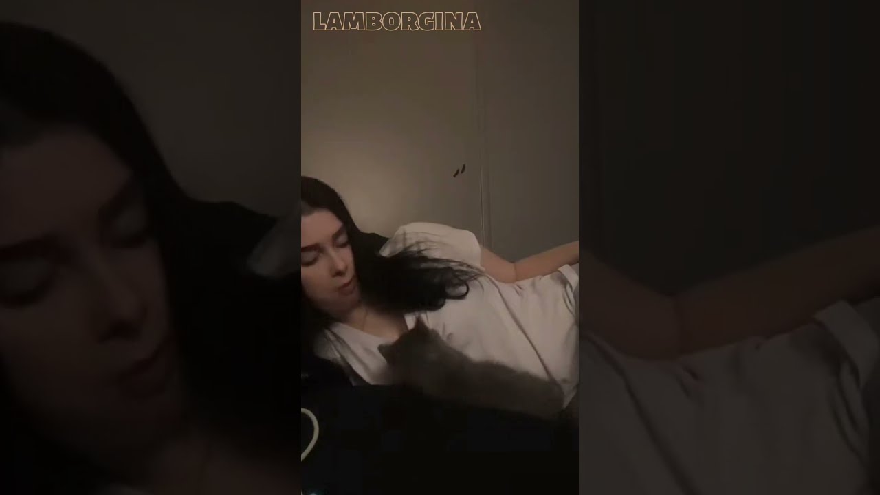 Routines Night || Cute And Naughty Cat🤭 