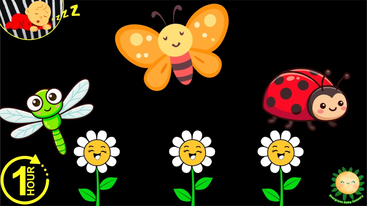 Baby Sensory Video | Butterflies & Flowers | High Contrast Calm Visuals for Babies
