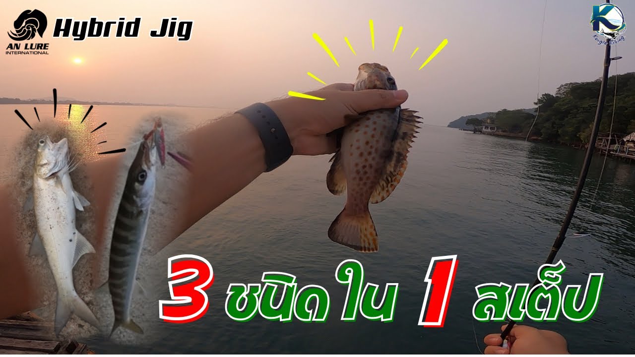 จิ๊กอย่างไร? กับหมาย “แนวหิน” | ไมโครจิ๊กชายฝั่ง EP.67