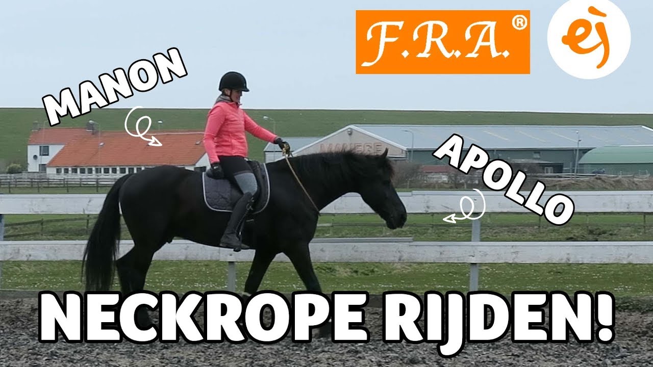 HOW TO: de weg naar bitloos & neckrope rijden! | Deel 2  BITLOOS & NECKROPE RIJDEN | #65 | Epplejeck