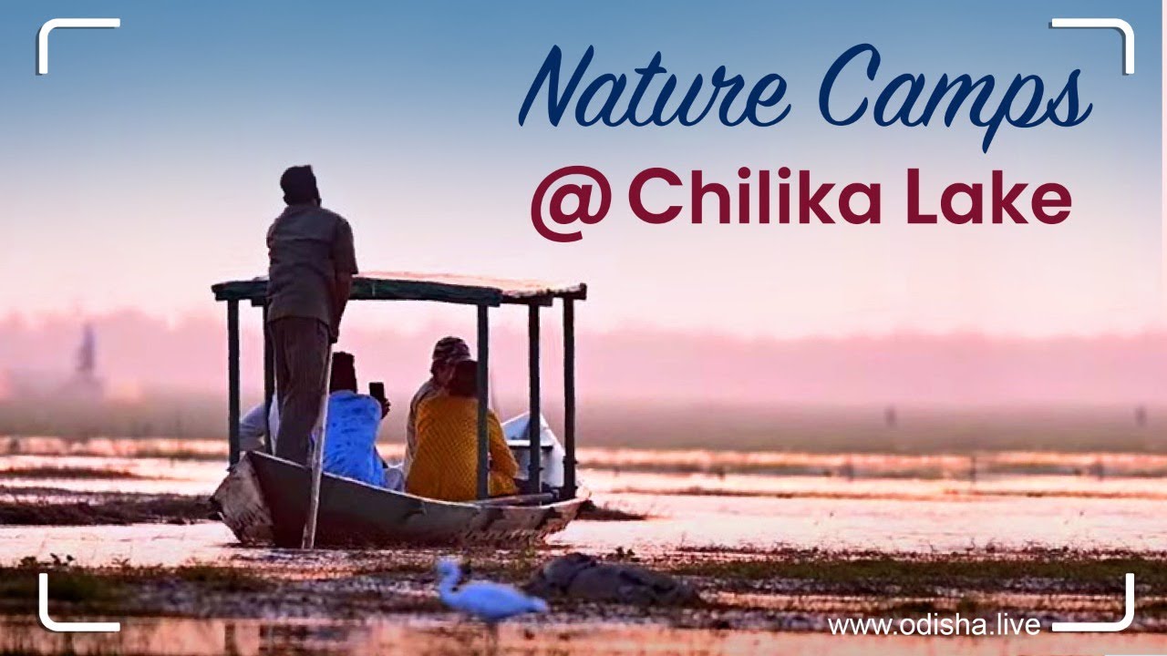 Chilika Wildlife & Nature Camp at Chilika Lagoon | Odisha Tourism - Eco Tour | 4K