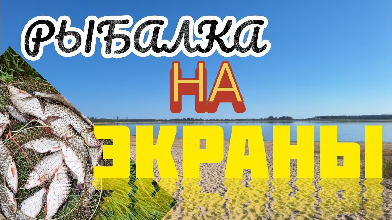 РЫБАЛКА НА ЭКРАНЫ ТЕЛЕВИЗОРЫ.ОТЛИЧНОЕ МЕСТО ХОРОШИЙ УЛОВ. 