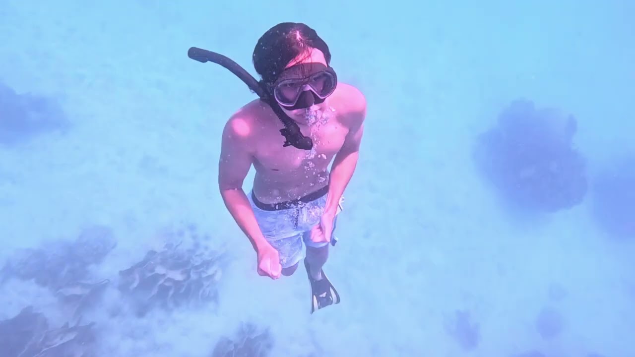 Living in an Earth house and going free diving 