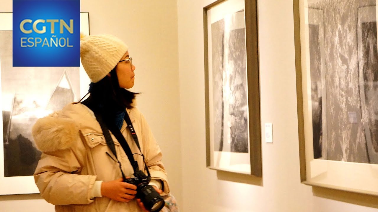 Exhibici&oacute;n especial de arte en tinta china