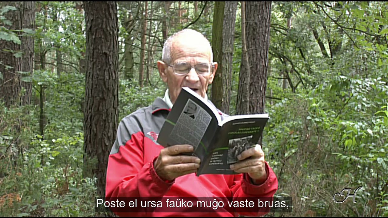 Korno de Vojski (el 