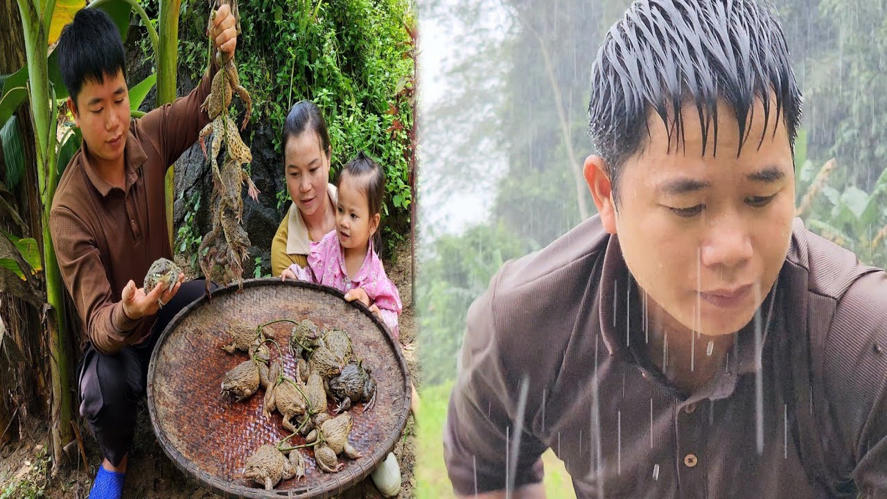 Finding and harvesting Frogs in the dead of night - Cooking - Living with nature.