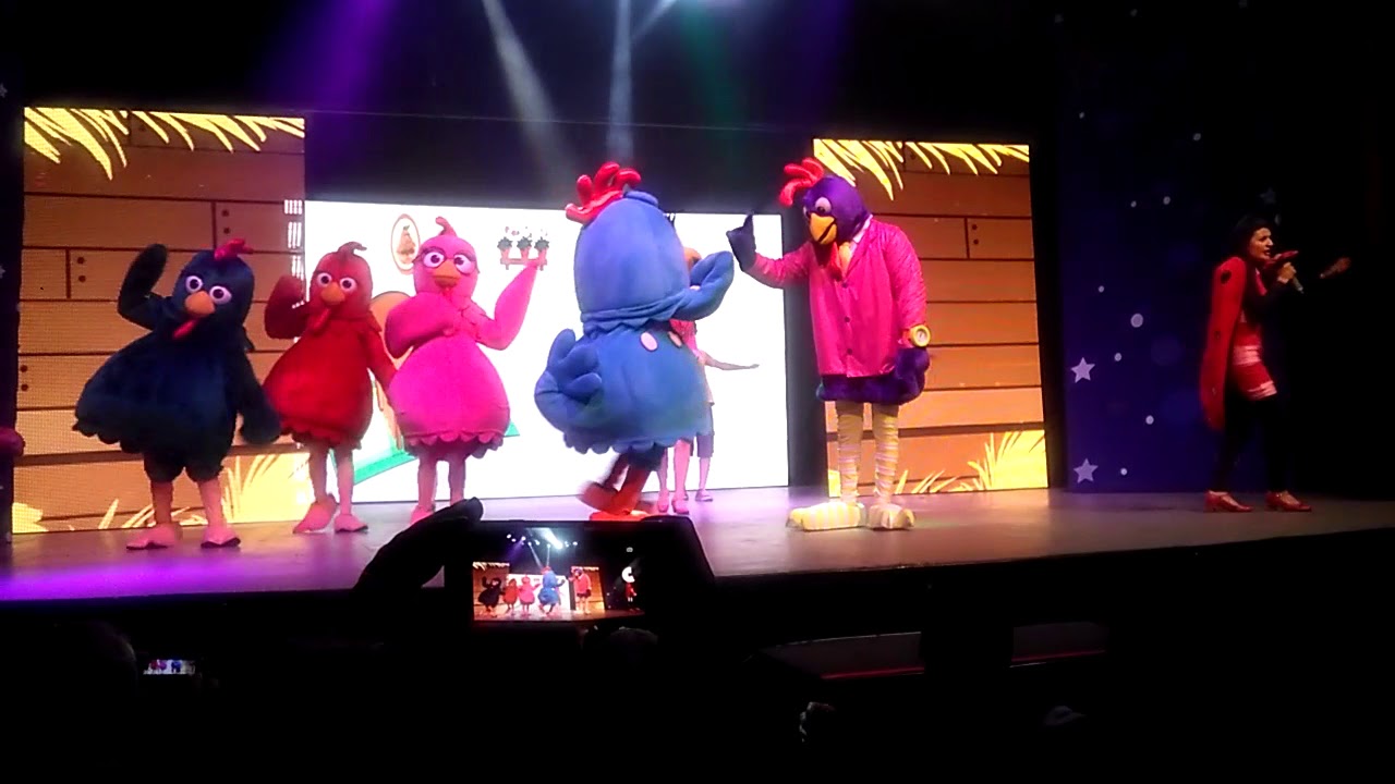 Gallina pintadita Kendra