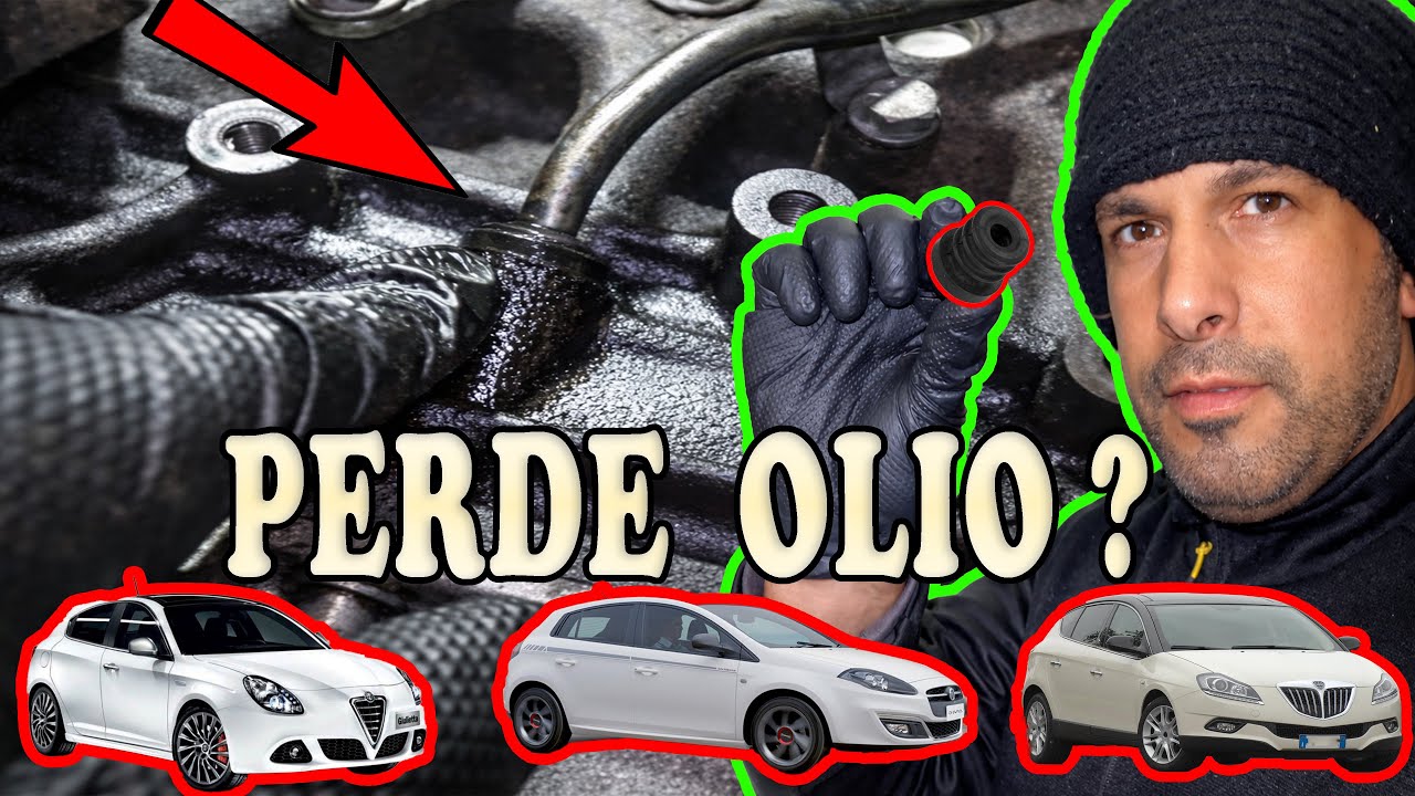 Perdita olio astina 1.6 Multijet ❌ Gommino difettoso | Fiat Alfa Lancia | Soluzione