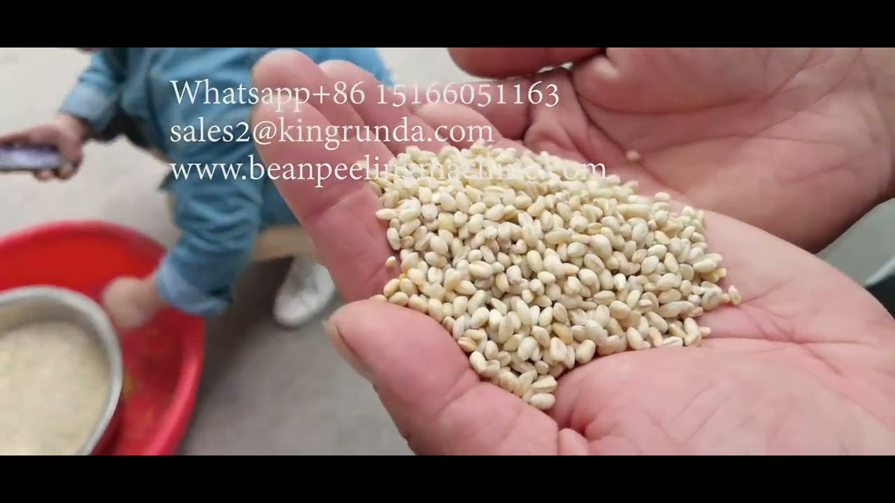 1.5~2T/H F28 wheat peeling machine/barley skin removingmachine/corn peeling machie