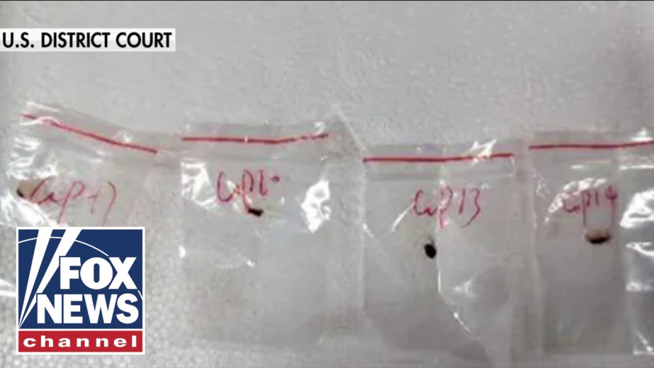 Chinese nationals charged with smuggling 'devastating' biological pathogen into US