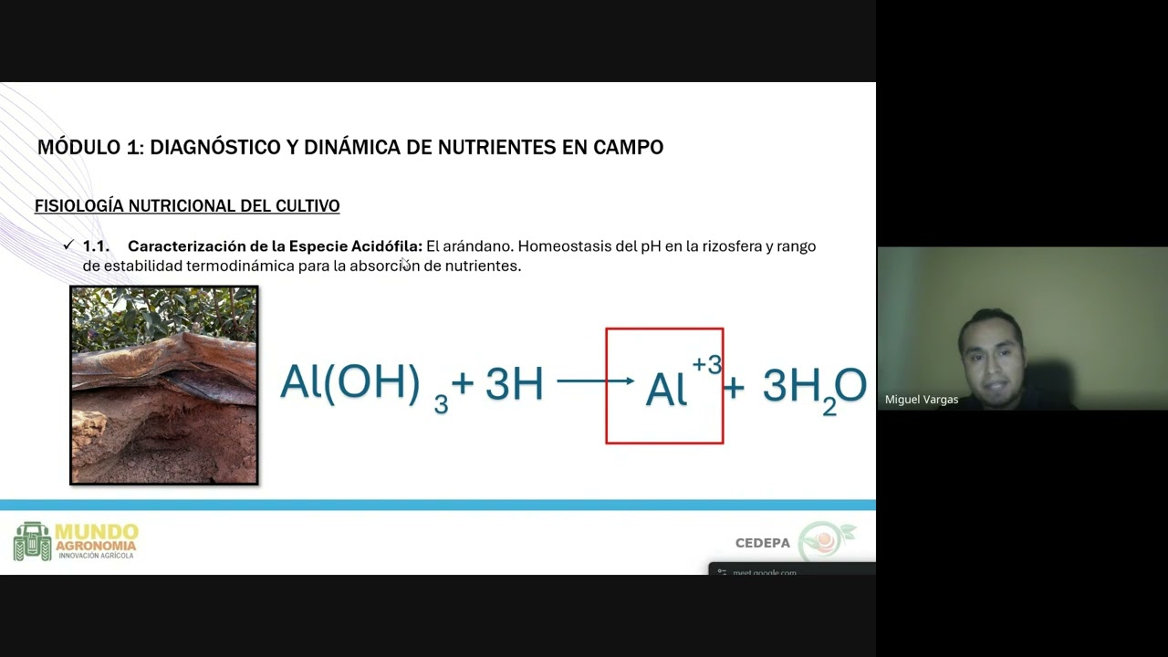 Webinar - Seguimiento e interpretación Nutricional en el Cultivo de Arándanos